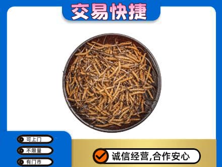 营口回收散虫草